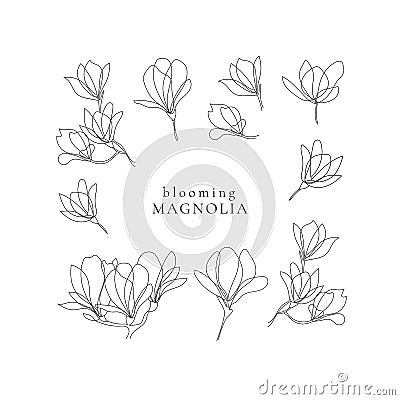 Set of outline blooming magnolia twigs Vector Illustration