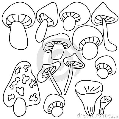Set of outline doodle mushrooms, coloring page with various types and forms of mushrooms, vector hand draw illustration Vector Illustration