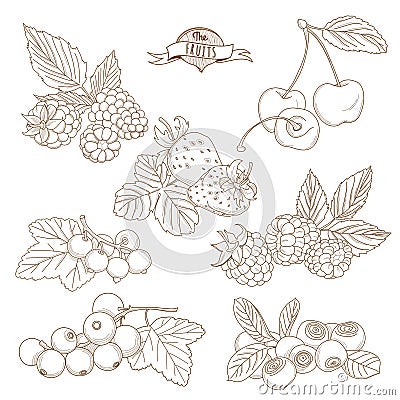 Set of Outline hand drawn berries ( blackberry, cherry, strawberry, currant, raspberry, blueberry) Vector Illustration