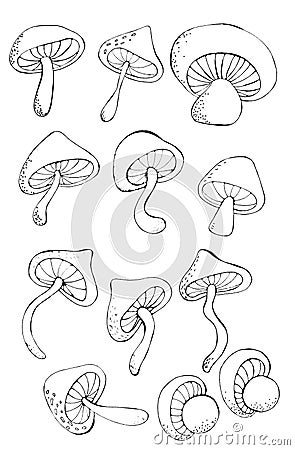 Set of outline mushrooms for design and creativity Stock Photo