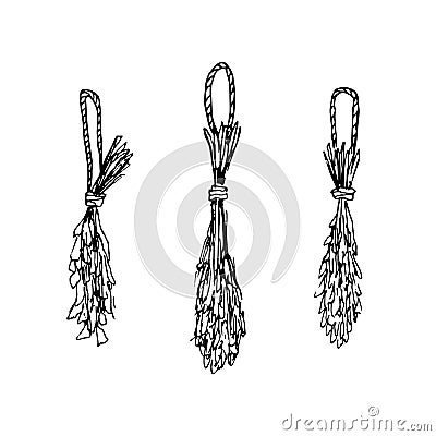 Set of outline vector bunches of driedgrass. Hand drawn black contour hanging herbs isolated on white background Vector Illustration