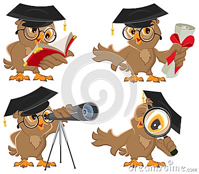 Set owl Vector Illustration