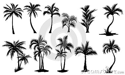 Set of palm trees. Collection of silhouette of palm tree. The contours of tropical plants. Black white illustration of Vector Illustration