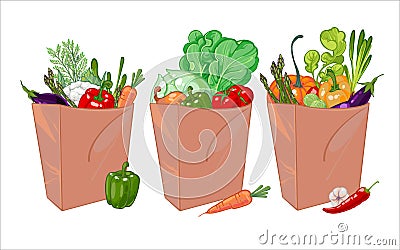 Set of paper bag full of healthy vegetables. Full shopping Eco-friendly bags Vector Illustration