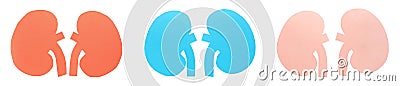 Set with paper cutouts of kidneys on white background, top view. Banner design Stock Photo