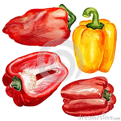 Set of paprika Stock Photo