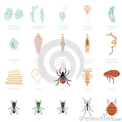 Set of parasites Vector Illustration