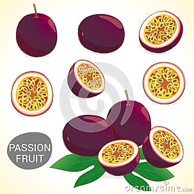 Set of passionfruit (passion fruit) in various styles format Vector Illustration