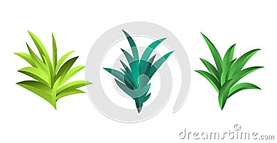 Set of 3 pcs bunches of grass of different colors on a white background - Vector Vector Illustration