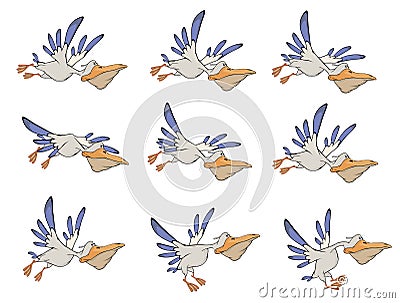 A set of pelicans storyboards Vector Illustration