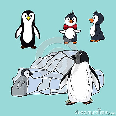 Set of penguins of different species, illustration of a family of seabirds penguins on a blue background Vector Illustration