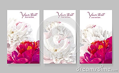 Set of peony flower greeting cards Vector Illustration