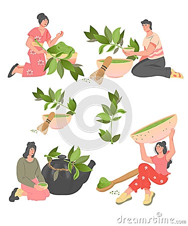 Set of people with green herbal tea or matcha, flat vector illustration isolated Cartoon Illustration