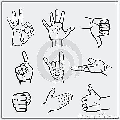 Set of people hands. Different gestures. Vector Illustration