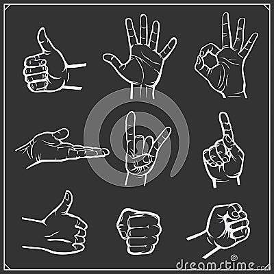 Set of people hands. Different gestures. Vector illustration. Vector Illustration
