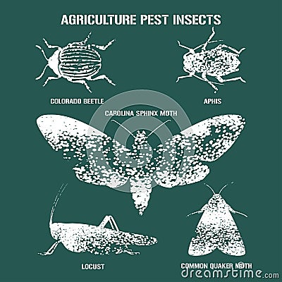 Set of pest insects vector illustration with signs Vector Illustration