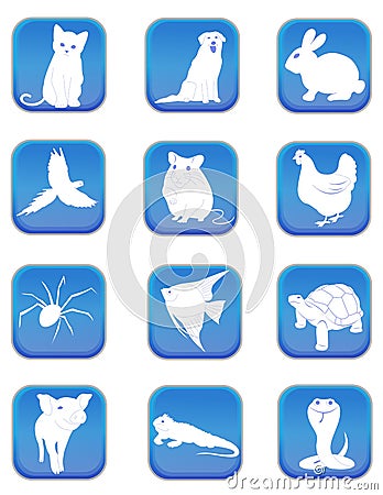 Pet icons Vector Illustration