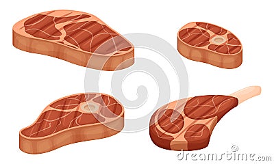 A set of pieces of grilled meat with layers of fat. Knuckle with bone, shoulder blade, fillet. Cooked fried meat. Flat Vector Illustration