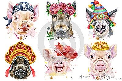 Set of pig portraits. Animal watercolor illustration on white background Cartoon Illustration