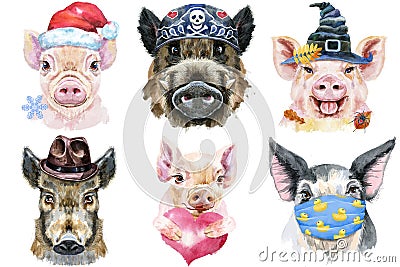 Set of pig portraits. Animal watercolor illustration on white background Cartoon Illustration