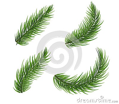 Set of pine tree branch. Fir tree christmas wreath elements. Coniferous plant icon collection on white background. New Vector Illustration