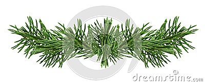 Set of pine twigs isolated without shadow for holiday decor. Winter forest decoration. Christmas zero waste Stock Photo