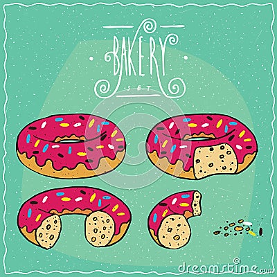 Set of pink donuts in different stages of eating Vector Illustration