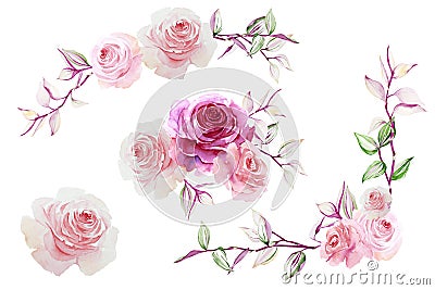 Set of pink rose and colorful tradescantia plant isolated on white background. Watercolor hand drawn illustration Cartoon Illustration