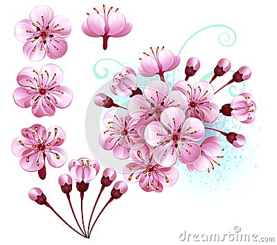 Set of sakura flowers Pink flowers Vector Illustration