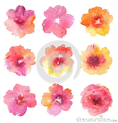 Set of multicolored watercolor flowers on a white background. Stock Photo