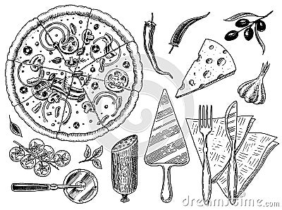 Set of pizza with cheese. Yummy italian vegetarian food with tomatoes, Seafood and olives and eggplant. Ingredients for Vector Illustration