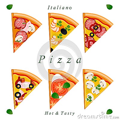The set pizza Vector Illustration