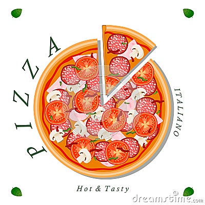 The set pizza Vector Illustration