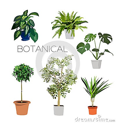 Set of plants Vector Illustration