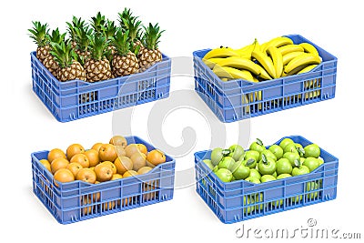 Set of plastic crate with fruits, pineapple, banana, apple and orange isolated on white Cartoon Illustration