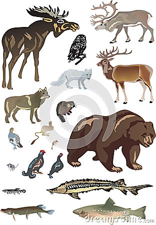 Set of polar animals Vector Illustration