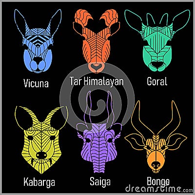 Set of polygonal head animals. Polygonal logos. Geometric set of Vicuna, Tar Himalayan, Goral, Kabarga, Saiga, Bongo Vector Illustration