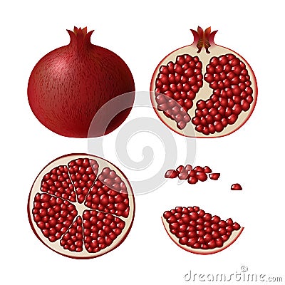 Set of pomegranate. Isolated half of ruby colorful pomegranate, whole round fruit, half, res slice and juicy seeds on white Vector Illustration