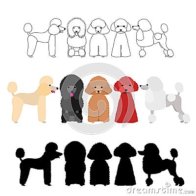 Set of poodle group Vector Illustration