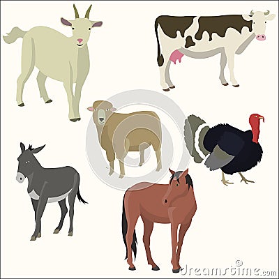 Set of popular colorful animalector Vector Illustration
