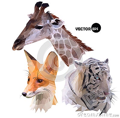 Set of portraits of wild animals a giraffe, white tiger, red Fox realistic in polygonal ,low poly origami style. Vector Illustration