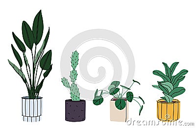 Set of pot with houseplant isolated at white. Vector flowerpot of decorative green plant with long Vector Illustration