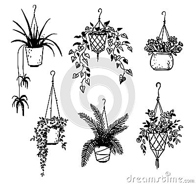 Set of potted house plants, vector sketch Vector Illustration