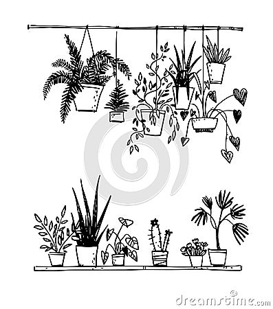 Set of potted house plants, vector sketch Vector Illustration