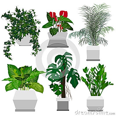 Set of potted houseplants. Vector Illustration