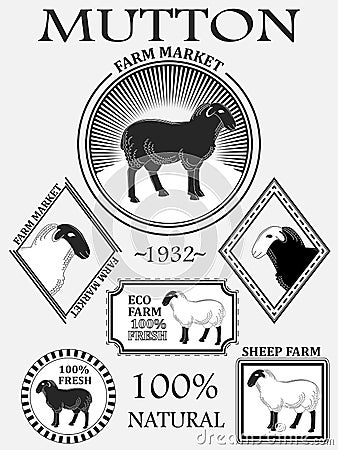 Set of premium lamb labels, mutton, badges and design elements. Cartoon Illustration