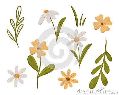 Set of pretty simple daisy flowers. Coupon with Chamomile in scandinavian style. Stylized tiny flowers, digital Cartoon Illustration