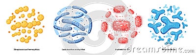 Set of Probiotic Bacteria, Good Microbes for Gut Health and Microbial Flora. Streptococcus Thermofillus, Lactobacillus Vector Illustration