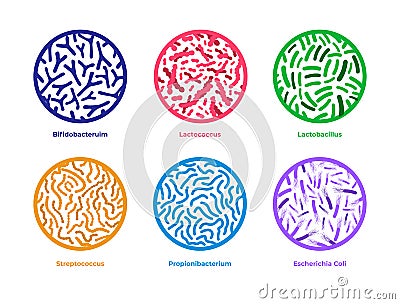 Set of probiotics icons. Different good bacterias isolated on white background Vector Illustration