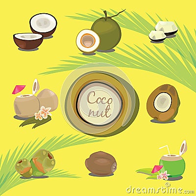 Set of Products of Coconut Tropical Fruit Description Vector Illustration